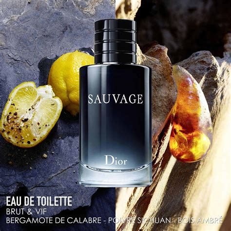 dior sauvage eau de toilette notino|sauvage dior perfume for men.